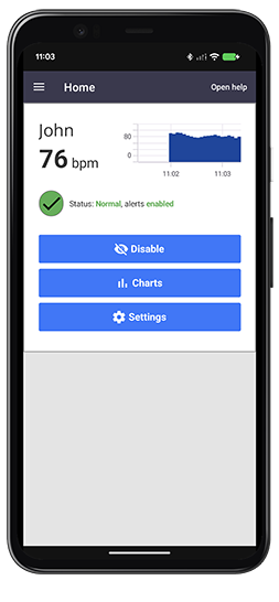 iOS version